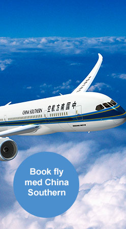 Boka flyg med china southern